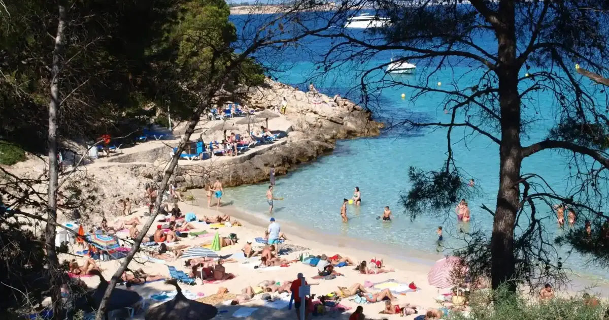 Calvia beaches among Spain's best after securing 15 Quality Flags