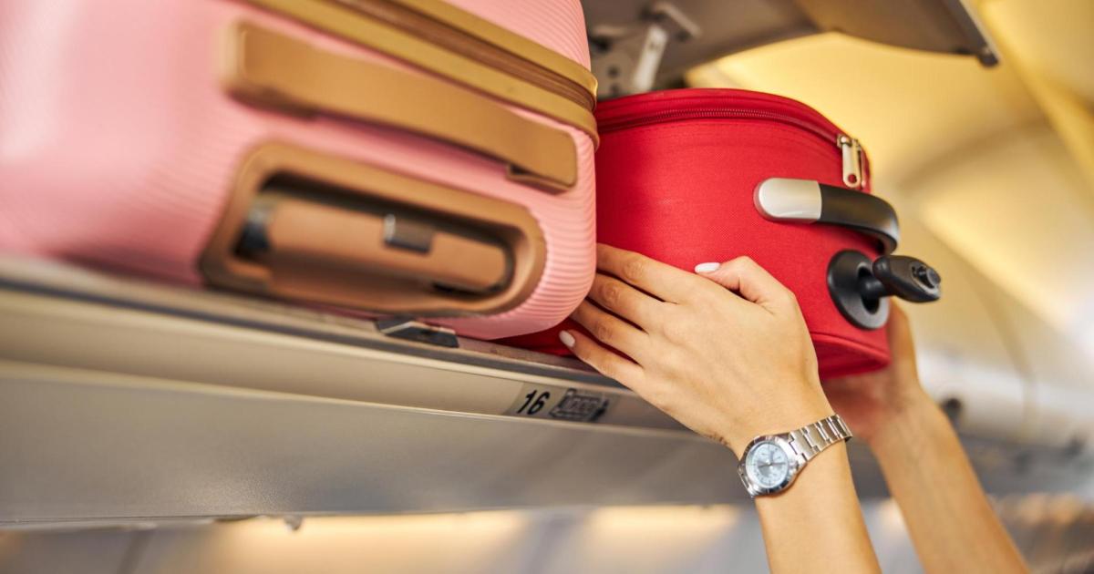 EU agrees new airline fare rules but rejects mandatory free hand luggage