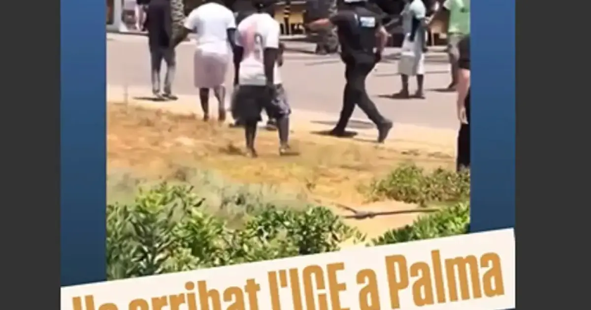 Palma council defends Playa de Palma arrests after vendor attacks