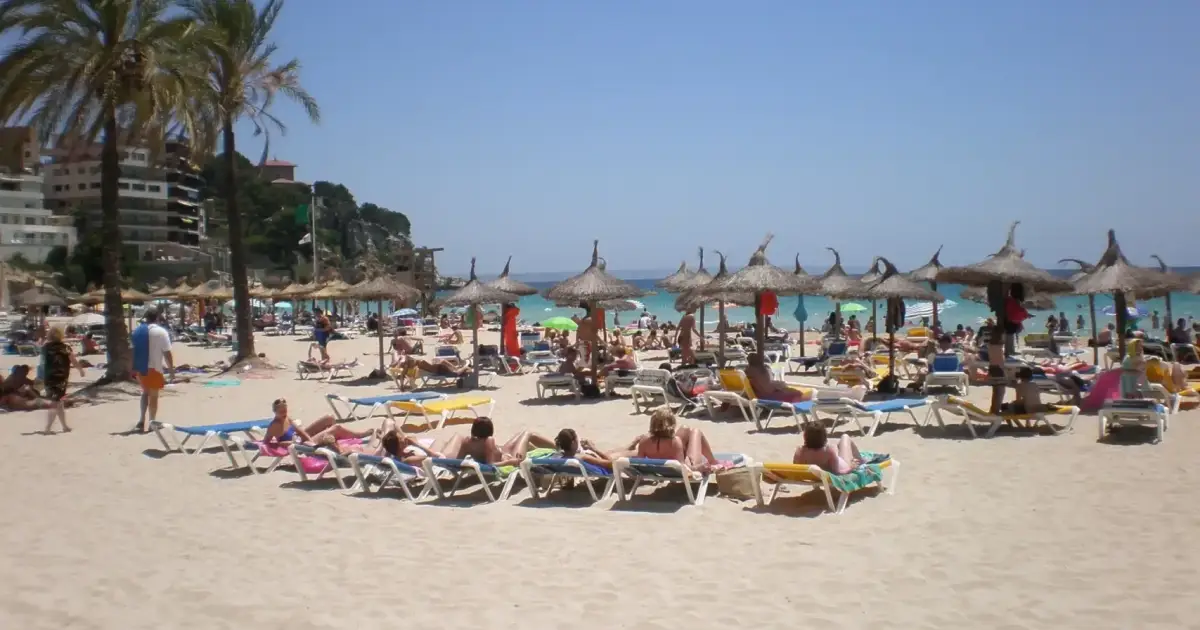 Britons seeking jobs in Spain could benefit from EU Blue Card scheme