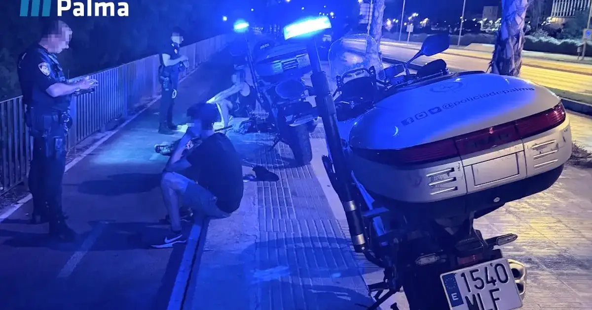 British tourists robbed in Mallorca: Two men arrested for stealing money and mobile phones from beachgoers at Palma beach