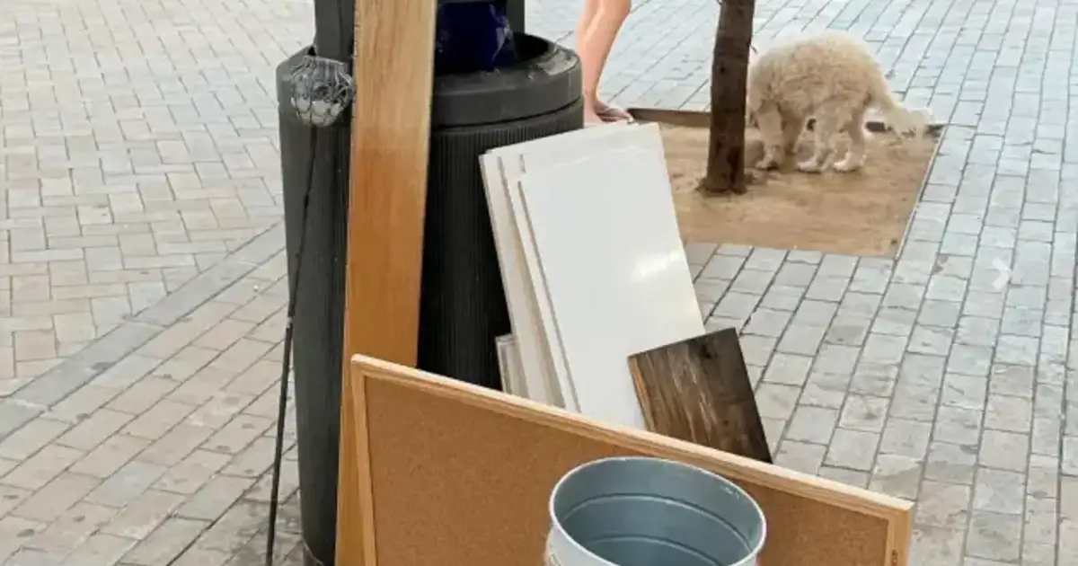 Residents slam Mallorca capital Palma a waste tip and want it cleaned up