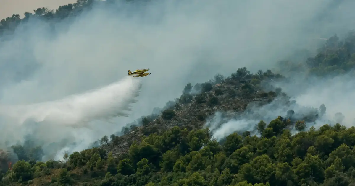 UK government heat and forest fire warning for Britons travelling to Spain and the Balearics