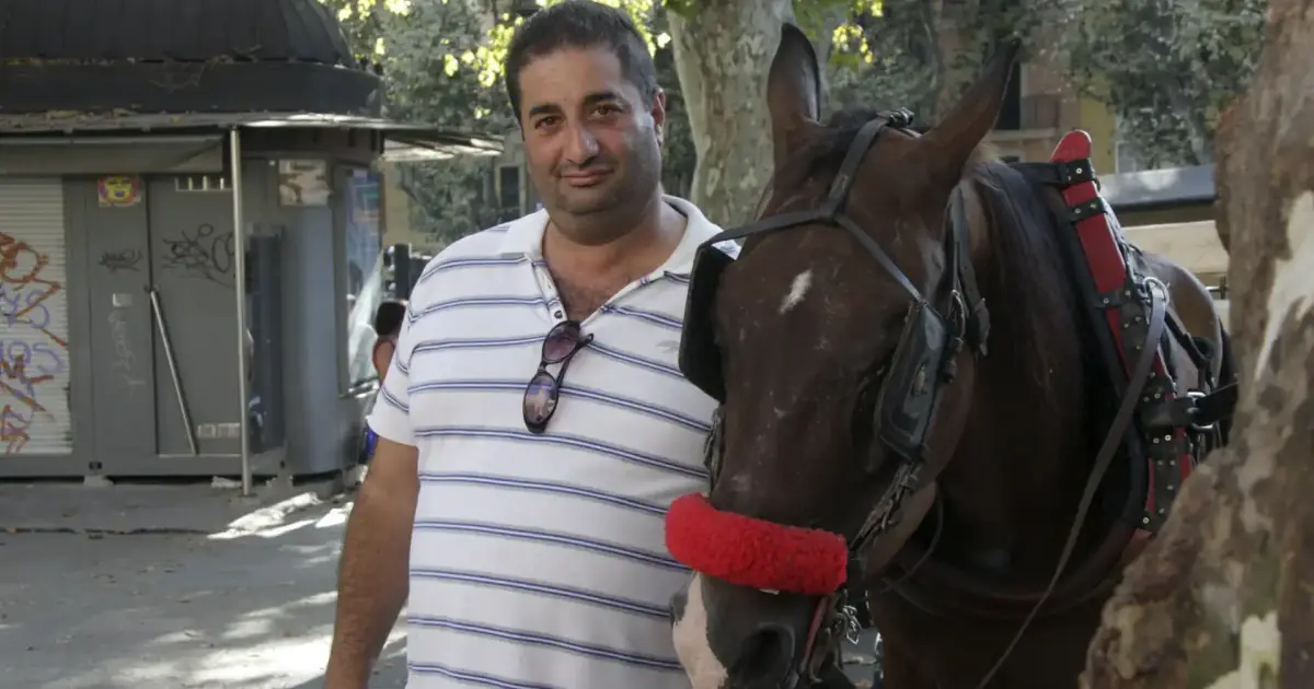 Palma horse-carriage driver apologises for throwing water over a tourist