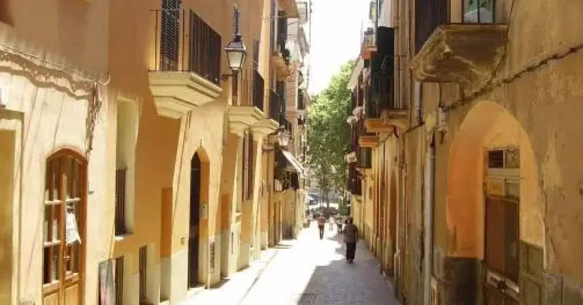 Mallorca Bulletin Reader Offers