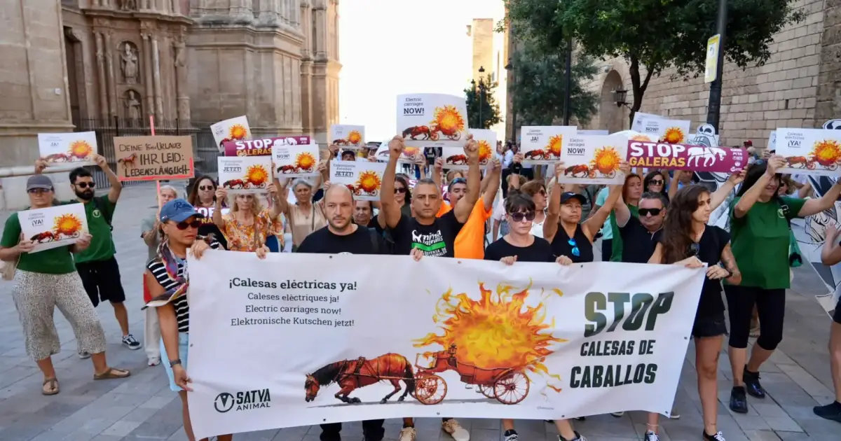 Palma protest demands an end to horse-drawn carriages