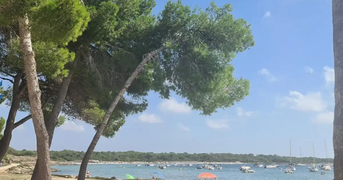 Mallorca set for Spain’s highest temperatures on Tuesday before weather turns