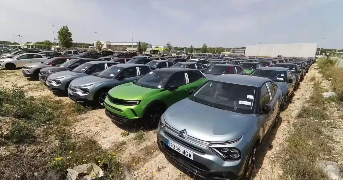 "It makes no sense to tackle Mallorca’s congestion problems by focusing on car rentals"