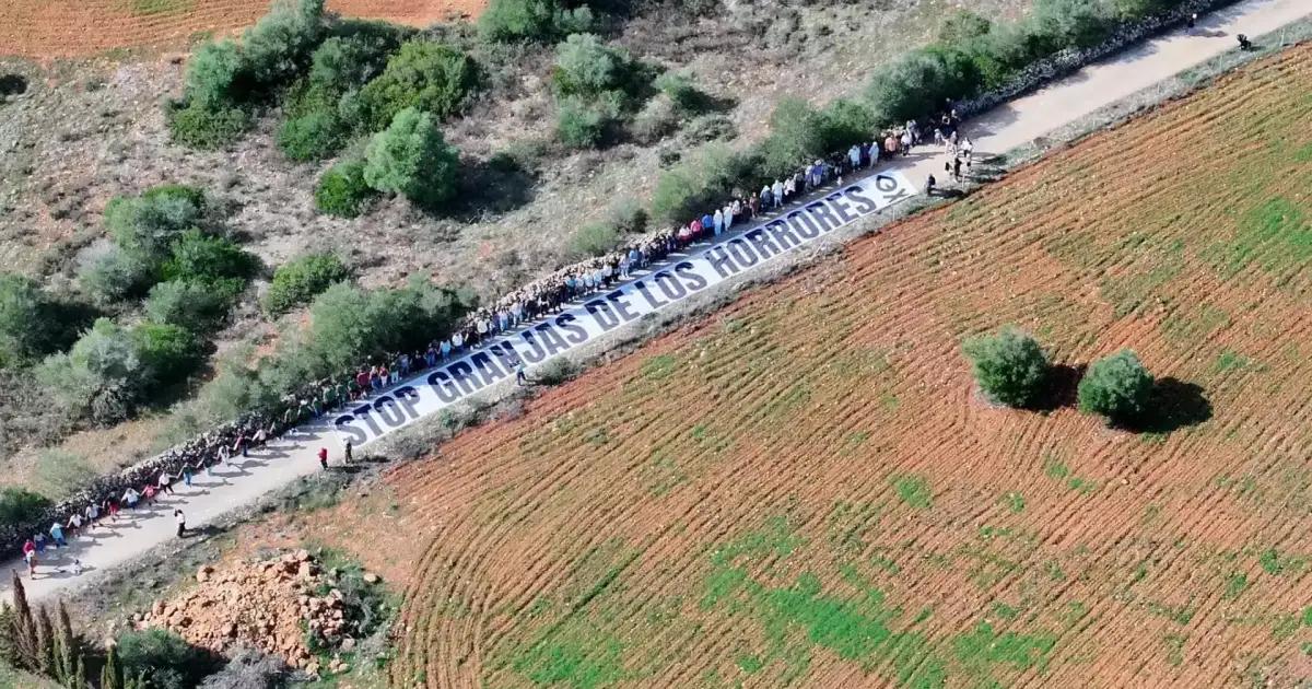 Human-chain protest against large poultry farm in Mallorca