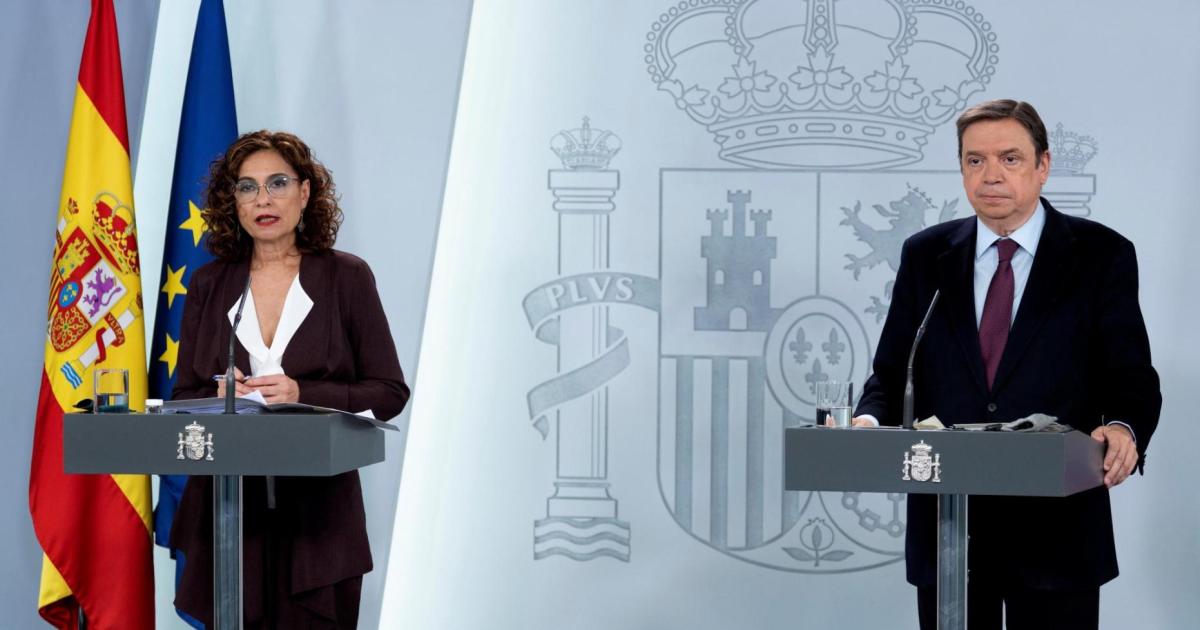 Spain wants jobless, immigrants to cover farm shortfall