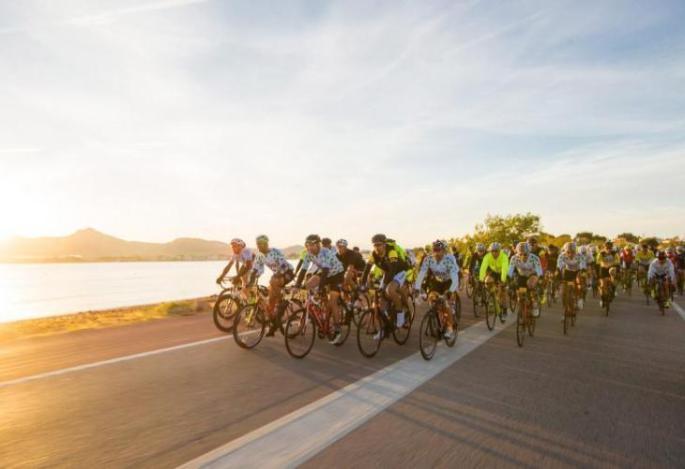 Mallorca 312