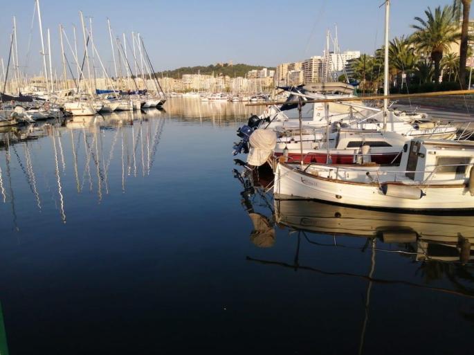 Boats in Palma Harbour.