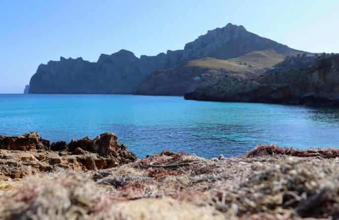 Cala San Vicente, Mallorca