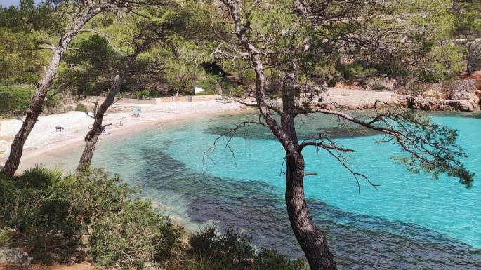 Cala Murta in Pollensa, Mallorca